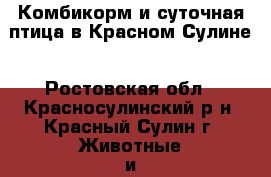 Комбикорм и суточная птица в Красном Сулине - Ростовская обл., Красносулинский р-н, Красный Сулин г. Животные и растения » Птицы   